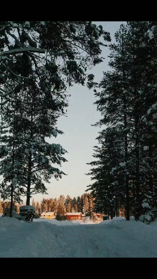 Verschneiter Wald mit Hütten