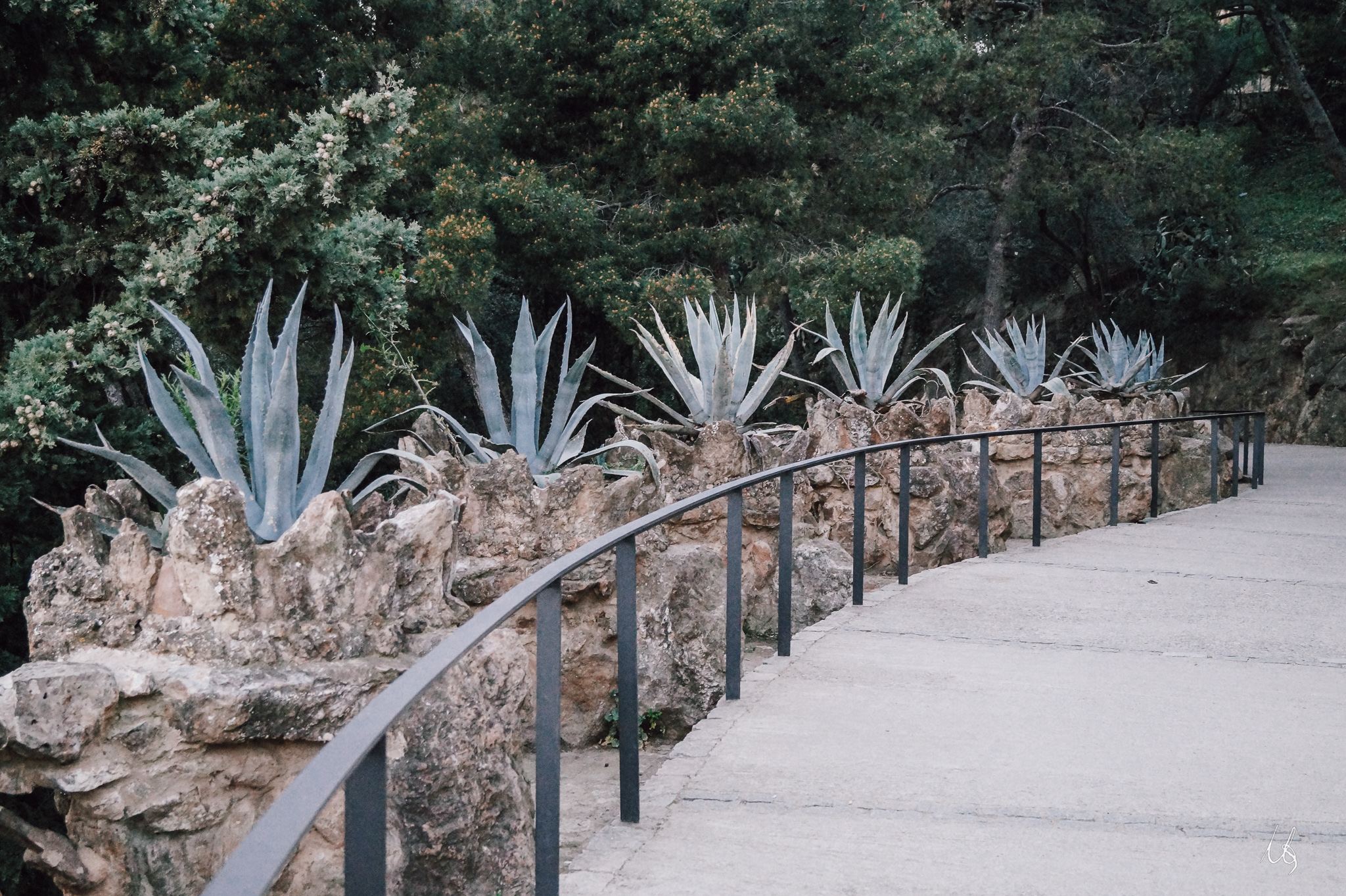 Mediterrane Pflanzen an einer steinernen Treppe
