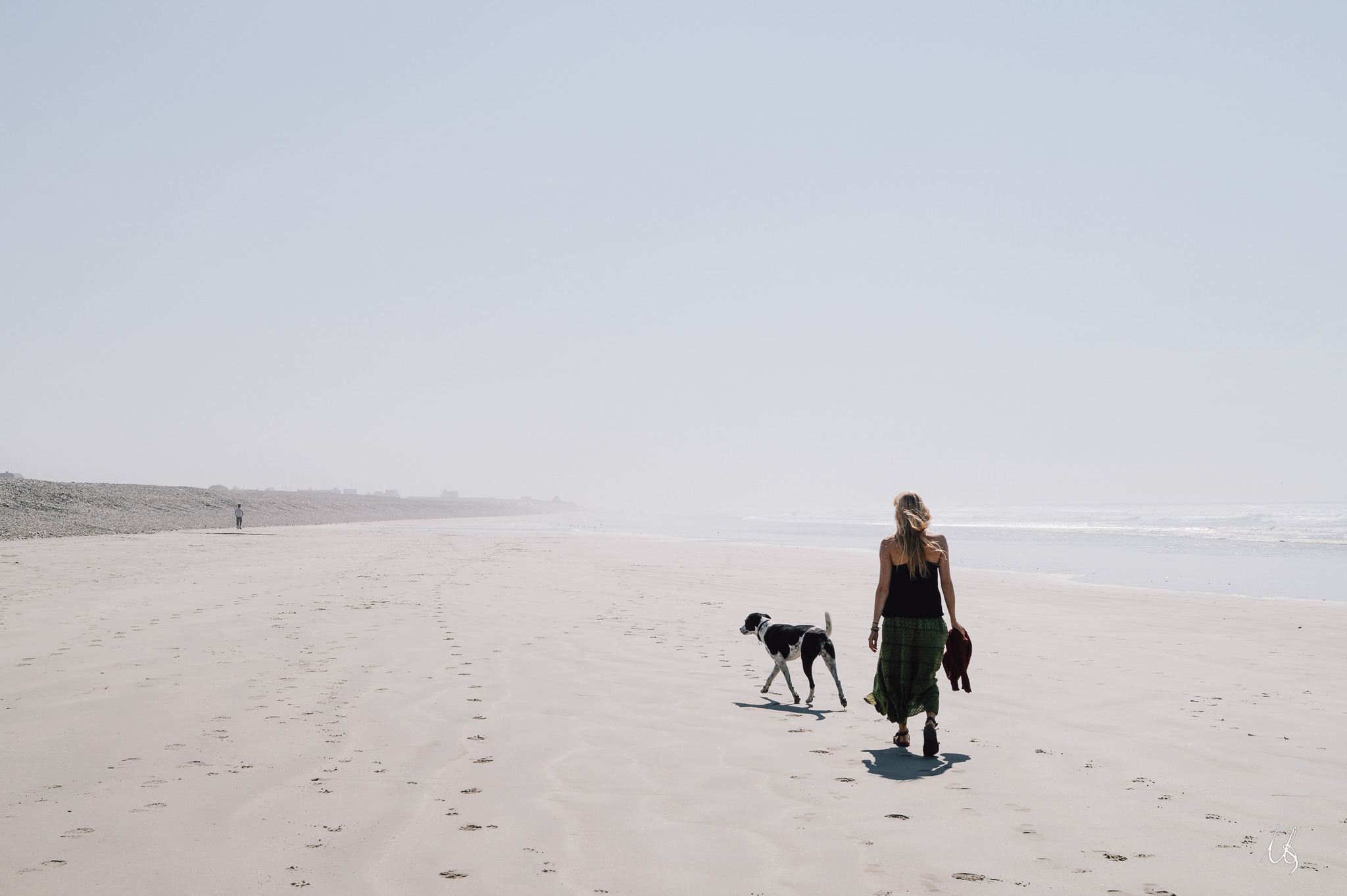 Hund und Person am Strand