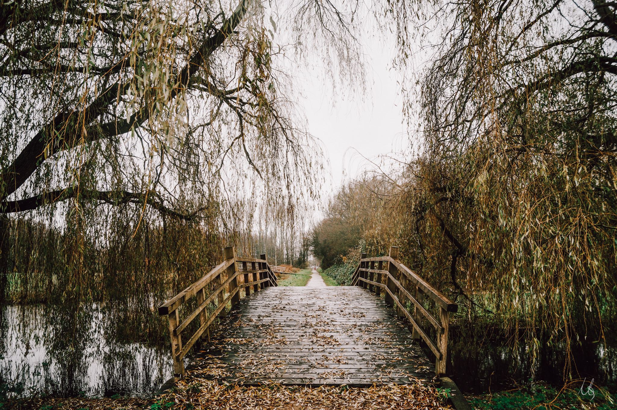 Brücke in einem Park in Delft, umgeben von Weiden