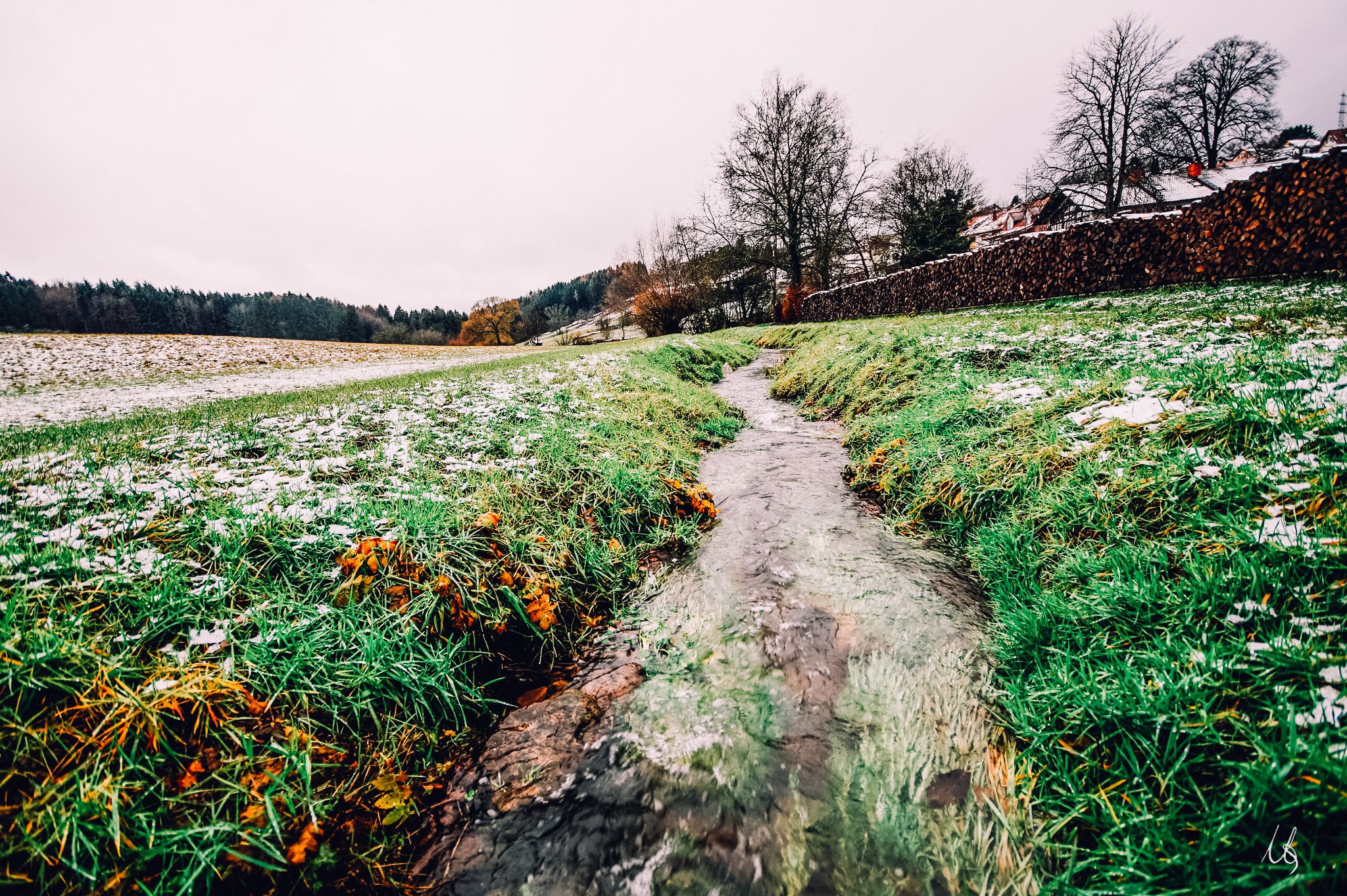 Ein Bach fließt durch eine Wiese