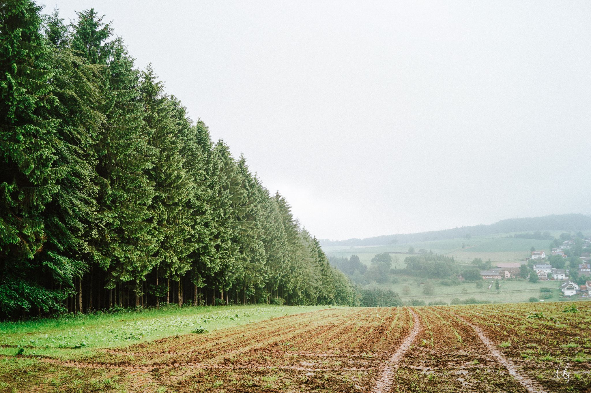 Blick auf Haag im Herbst, links am Bildrand Wald