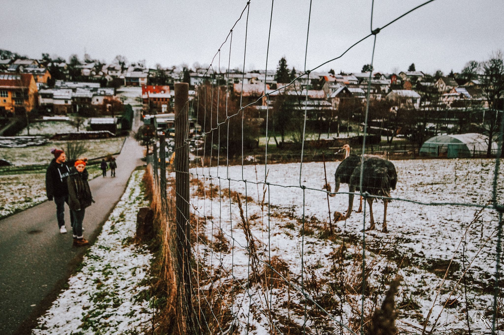 Weg mit Menschen neben einem Straußengehege