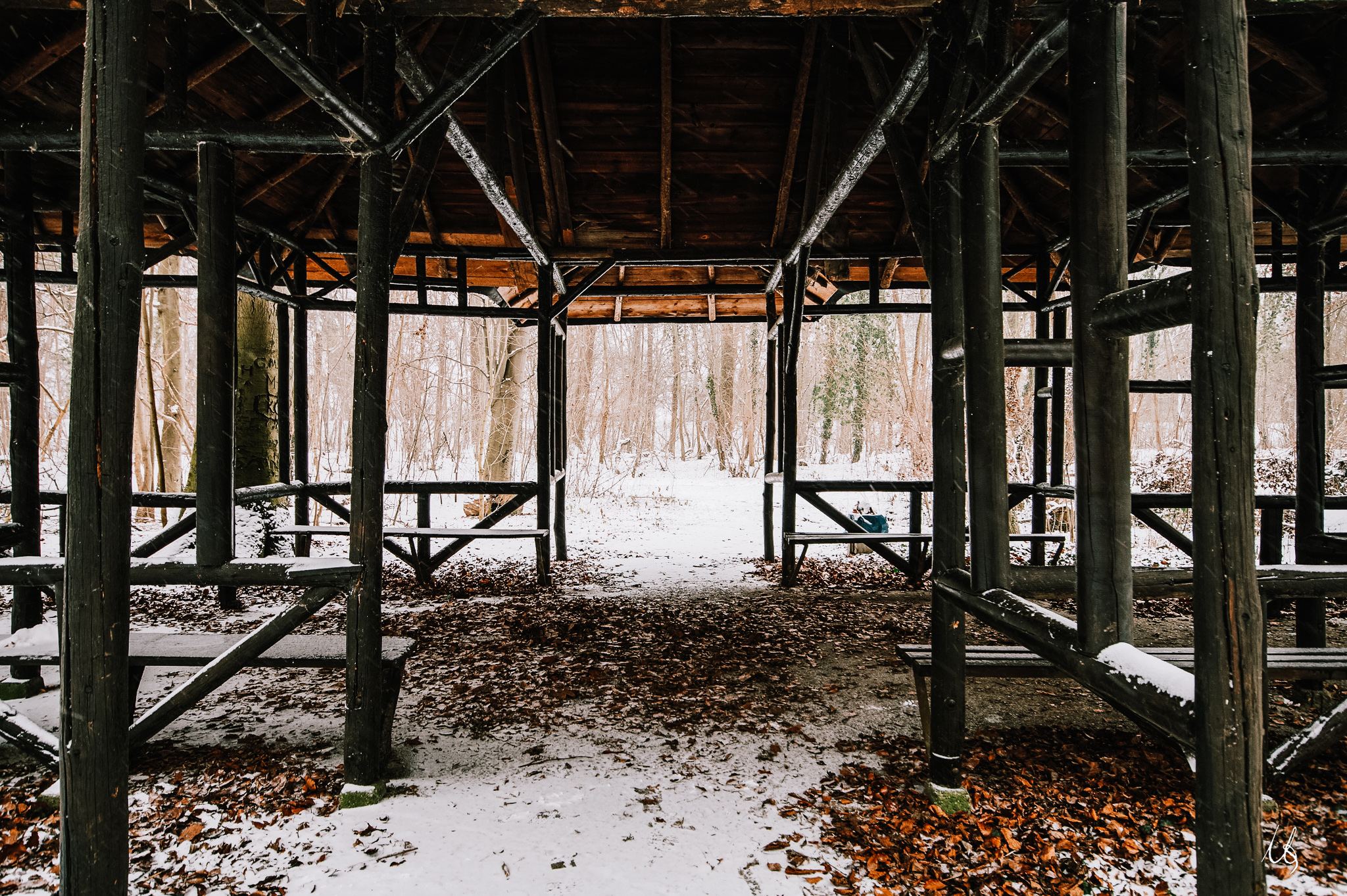 Blick aus einer Hütte in den Waldpark