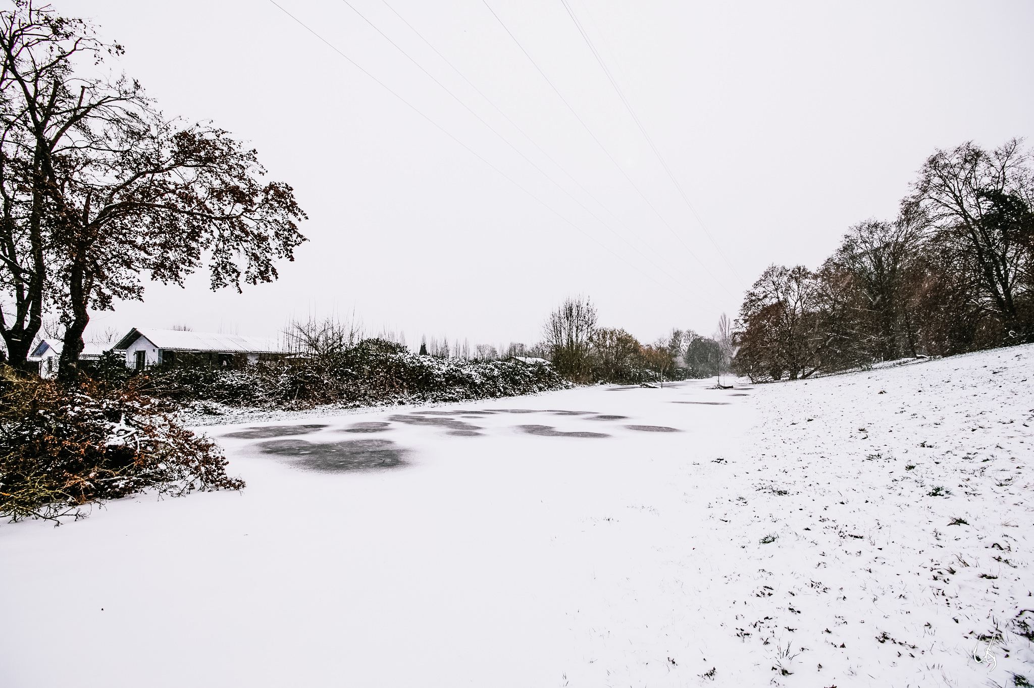 Schneebedeckte Wiese