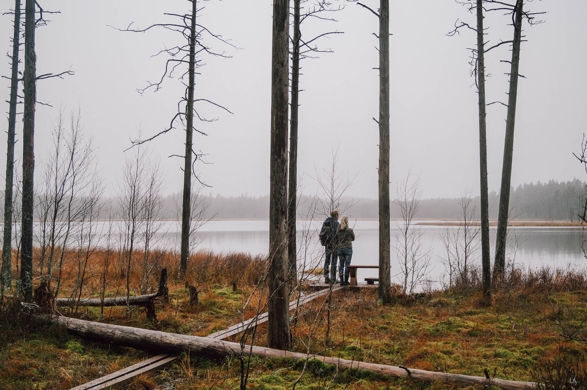 Zwei Personen stehen im Winter am Ufer eines Sees