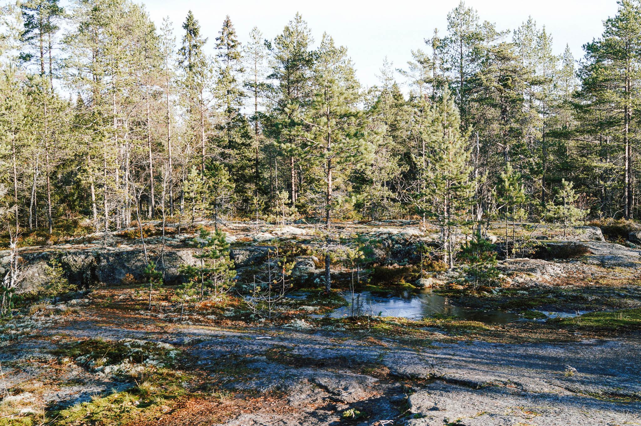 Felsenlandschaft im Grössjöns